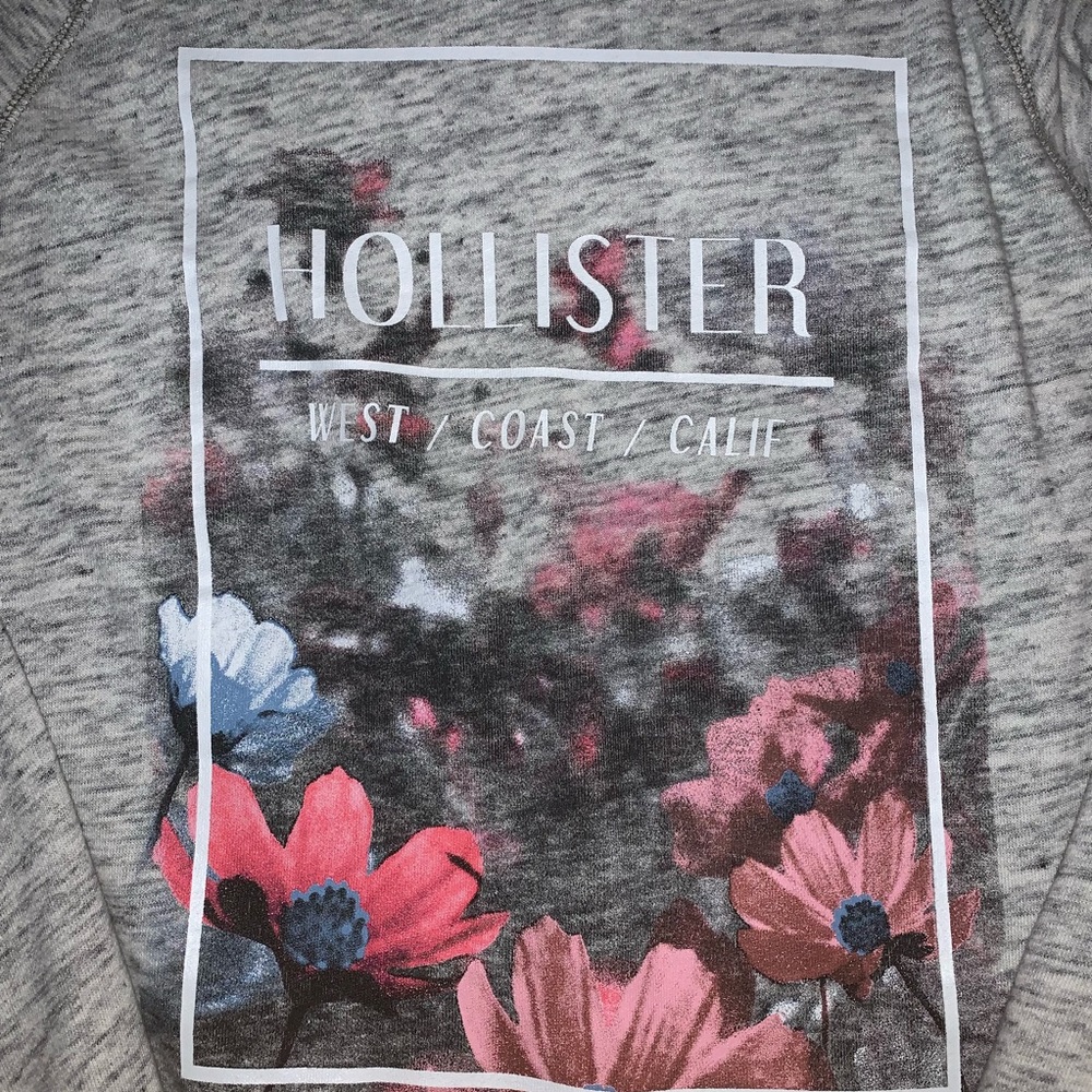 Hollister sweatshirt